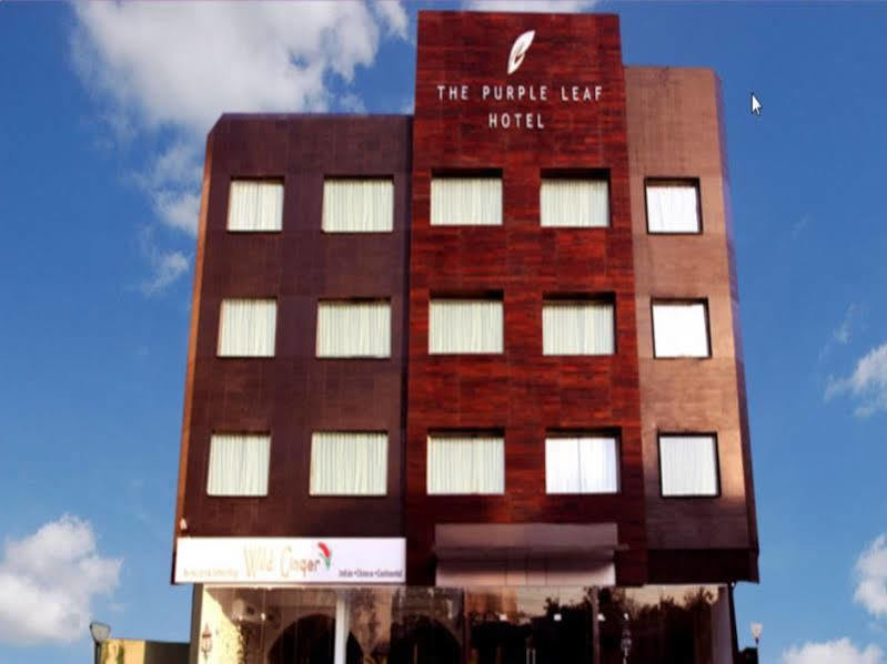 The Purple Leaf Hotels Hyderabad Eksteriør billede